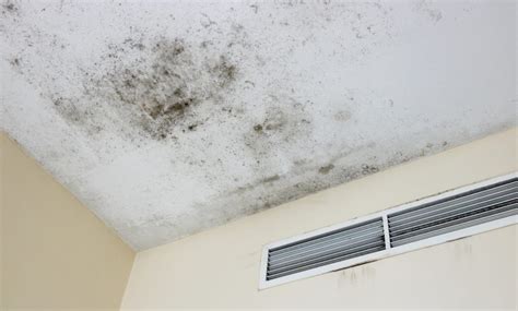 damp patch on ceiling, but no leak|Damp patch on ceiling – causes and cure for ceiling patch